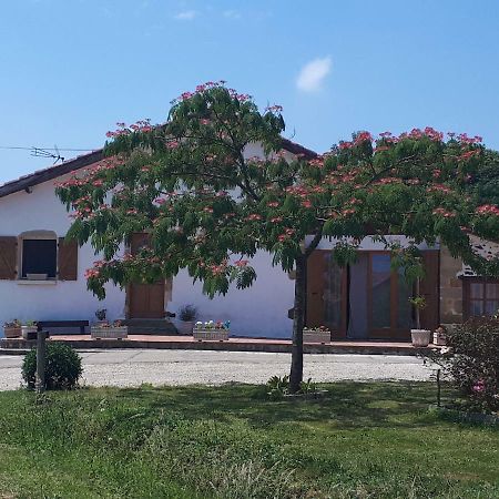 Gîte Pouton Saint-Loubouer Exterior foto